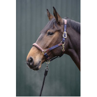 Halster Luna leer en nylon HKM Donkerblauw / bruin