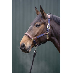 Licol Luna cuir et nylon HKM Bleu foncé / marron