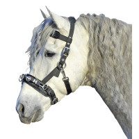 Filet caveçon HKM en nylon Noir