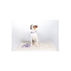 Tapis pour chien Lilly HKM Taupe Marron Tapis pour chien Lilly HKM Taupe Marron