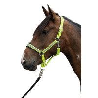 Reflecterende Halster HKM Fluogeel