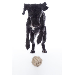 Jouet pour chien Buddy Knot Ball HKM Naturel Marron