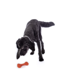 Jouet pour chien Buddy Bone I caoutchouc naturel HKM Orange Jouet pour chien Buddy Bone I caoutchouc naturel HKM Orange