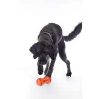Honden speelgoed Buddy Bone II natuurrubber. HKM Oranje Honden speelgoed Buddy Bone II natuurrubber. HKM Oranje