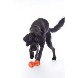 Jouet pour chien Buddy Bone II caoutchouc natu. HKM Orange Jouet pour chien Buddy Bone II caoutchouc natu. HKM Orange