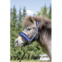 Licol Heart HKM Bleu Licol Heart HKM Bleu
