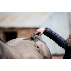 Tondeuse Lister Eclipse Tondeuse Lister Eclipse