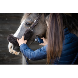 Tondeuse Lister Eclipse Tondeuse Lister Eclipse