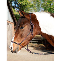 Licol éthologique set Trust HKM Noir Licol éthologique set Trust HKM Noir