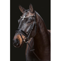 Bridon Fleur HKM Noir