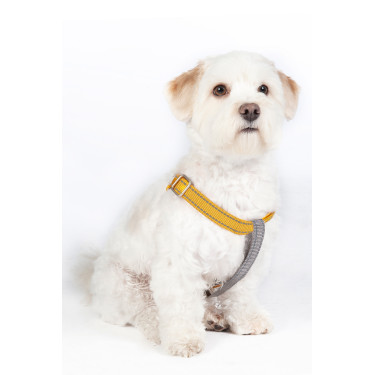 Harnais pour chien StepIn Anam Cara nylon HKM Harnais pour chien StepIn Anam Cara nylon HKM