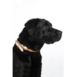 Collier de chien Anam Cara corde HKM Brandy Marron