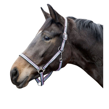 Halster Linz HKM Bruin / grijs / roze / blauw