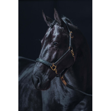 Leren halster Gold HKM Zwart