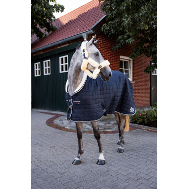 Staldeken B Vertigo Theo 150 g Staldeken B Vertigo Theo 150 g