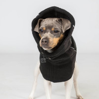 Cache cou pour chien Back on Track Benji Noir