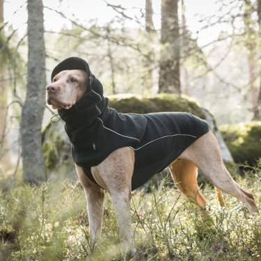 Nekwarmer voor honden Back on Track Benji Zwart Nekwarmer voor honden Back on Track Benji Zwart