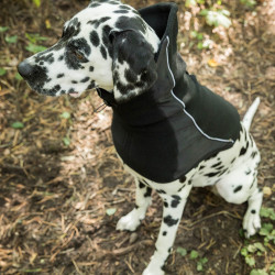 Cache cou pour chien Back on Track Benji Noir Cache cou pour chien Back on Track Benji Noir