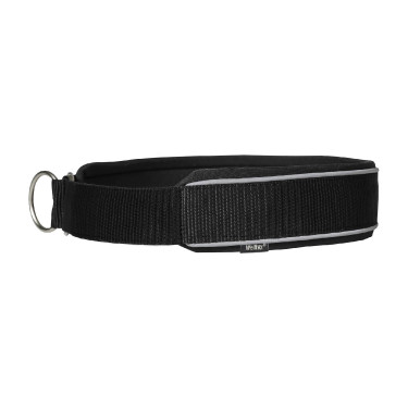 Collier pour chien Charlie Back on Track Noir Collier pour chien Charlie Back on Track Noir
