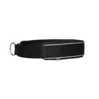 Halsband voor hond Charlie Back on Track Zwart Halsband voor hond Charlie Back on Track Zwart