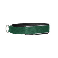 Halsband voor hond Charlie Back on Track Groen