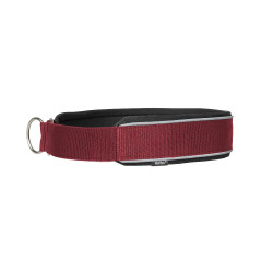 Collier pour chien Charlie Back on Track Bordeaux