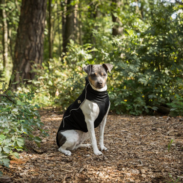 Back on Track deken voor hond fleece trui Eddie Zwart Back on Track deken voor hond fleece trui Eddie Zwart