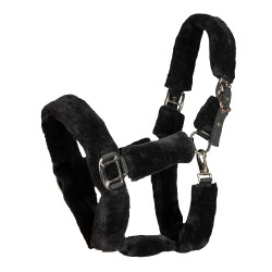 Licol Audrey Back on Track Noir