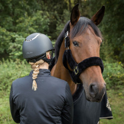 Licol Audrey Back on Track Noir