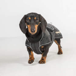Lange jas voor hond Back on Track Buddy Zwart Lange jas voor hond Back on Track Buddy Zwart