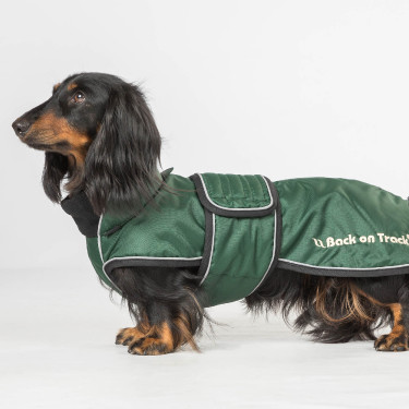 Manteau long pour chien Back on Track Buddy Vert
