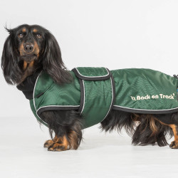 Manteau long pour chien Back on Track Buddy Vert