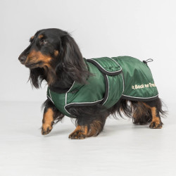 Manteau long pour chien Back on Track Buddy Vert