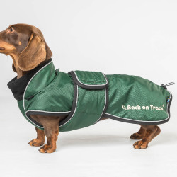 Manteau long pour chien Back on Track Buddy Vert