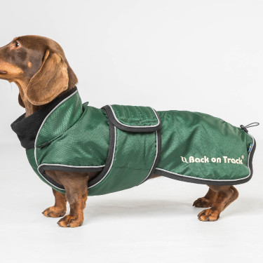 Manteau long pour chien Back on Track Buddy Vert