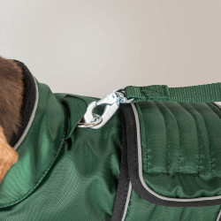 Lange jas voor hond Back on Track Buddy Groen