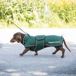 Lange jas voor hond Back on Track Buddy Groen