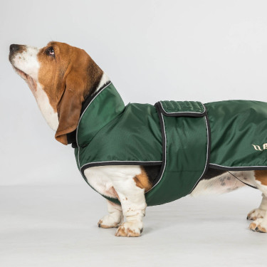 Manteau long pour chien Back on Track Buddy Vert