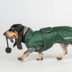 Manteau long pour chien Back on Track Buddy Vert