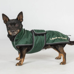 Manteau long pour chien Back on Track Buddy Vert
