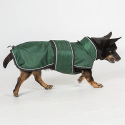Manteau long pour chien Back on Track Buddy Vert