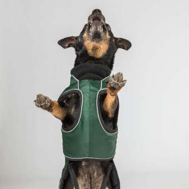 Manteau long pour chien Back on Track Buddy Vert