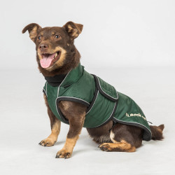 Lange jas voor hond Back on Track Buddy Groen