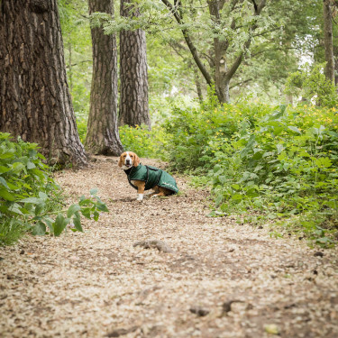Manteau long pour chien Back on Track Buddy Vert