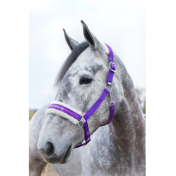 Licol Howard Crescendo Horze Violet