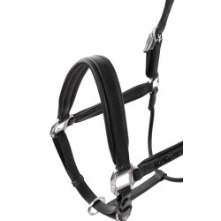Licol en cuir Horze Delémont Noir Licol en cuir Horze Delémont Noir