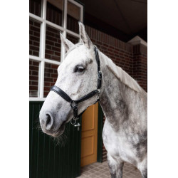 Leren halster Horze Delémont Zwart