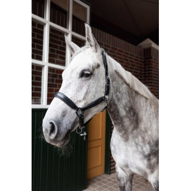 Leren halster Horze Delémont Zwart