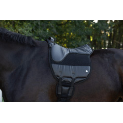 Rijpad AiRide Covalliero Rijpad AiRide Covalliero