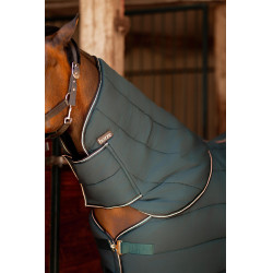 Couvre-cou pour couverture de box Glasgow poney Hoze Vert d'eau foncé Couvre-cou pour couverture de box Glasgow poney Hoze Vert d'eau foncé